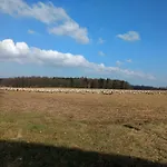 Haus Patze Apartmán *