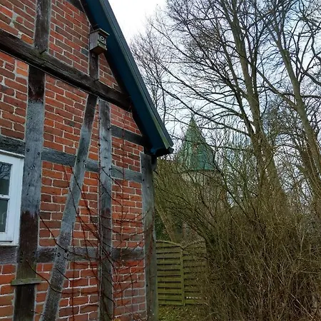 Haus Patze Apartment