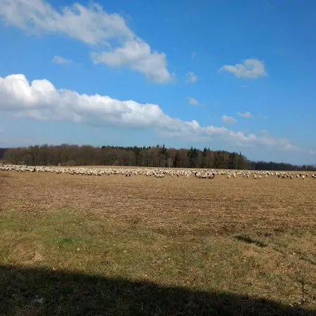 Haus Patze Lägenhet *