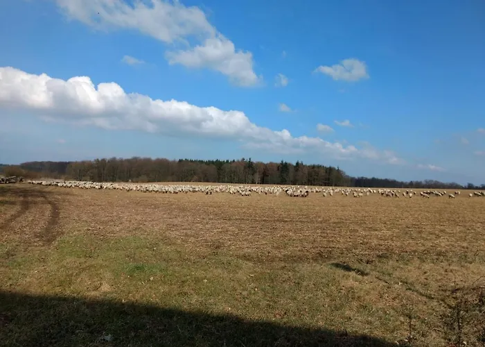 Haus Patze דירה *